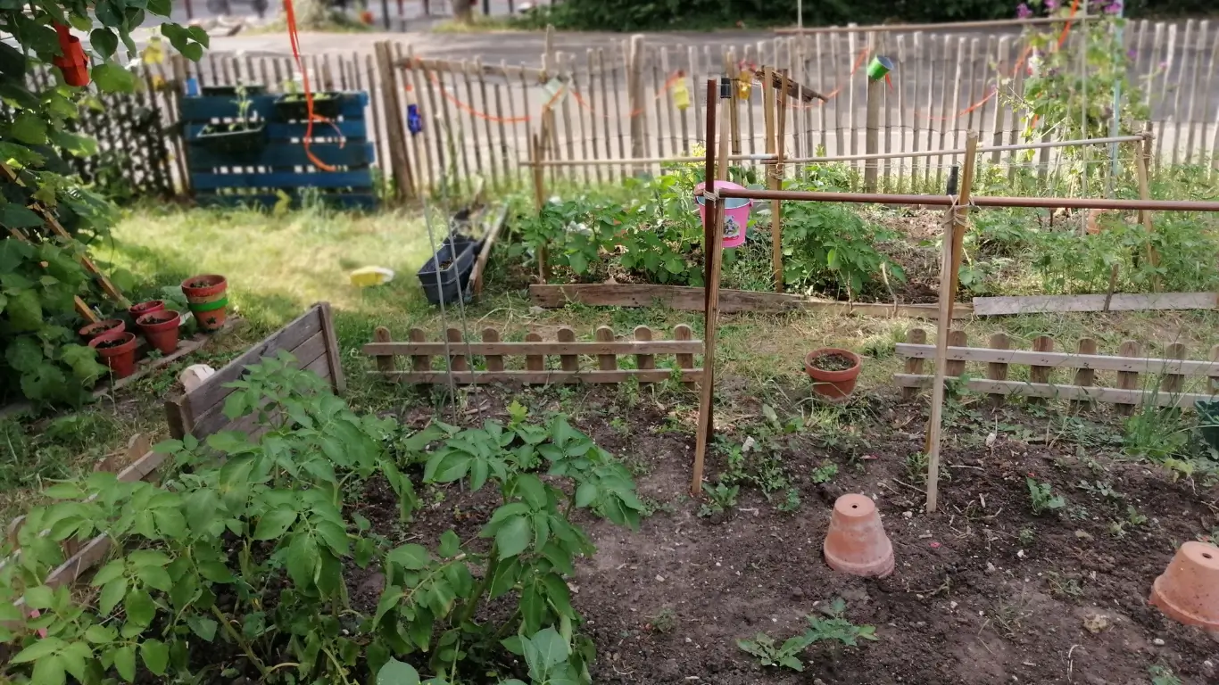 Accompagnement Quotidien & Jardinage Adapté | Ateliers du Lien Professionnelle accompagnant une personne âgée lors d'activités de jardinage thérapeutique en extérieur - Ateliers du Lien